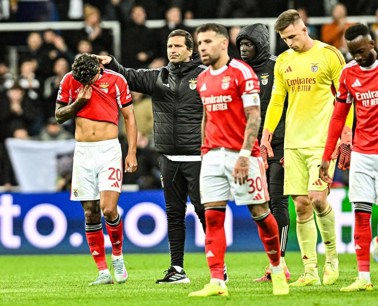 AA, 球报 AA, 球报