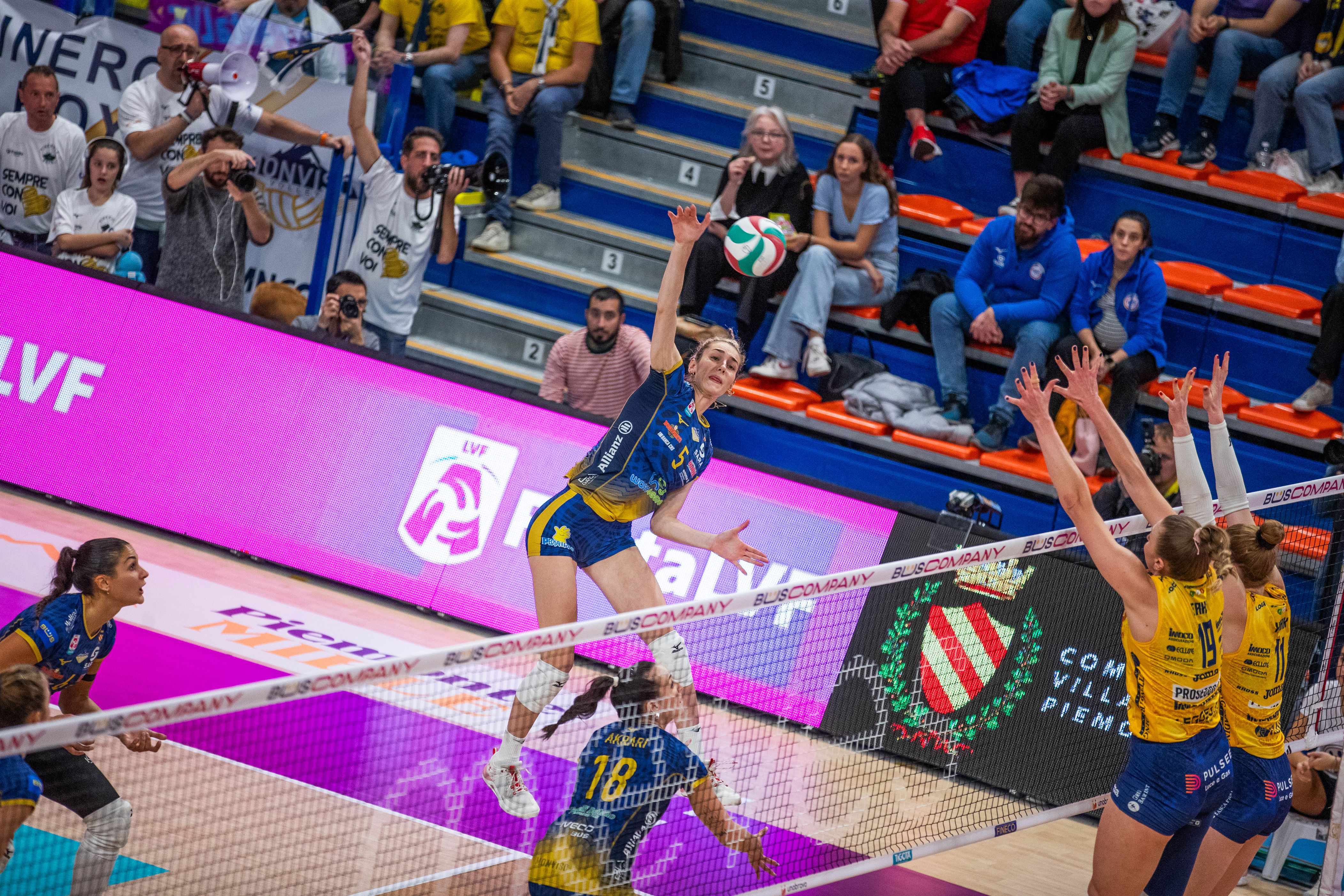 达维斯其巴, entit